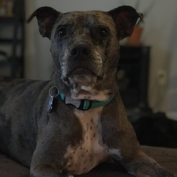 Meet your Posher, Erin - Picture 1 of 1